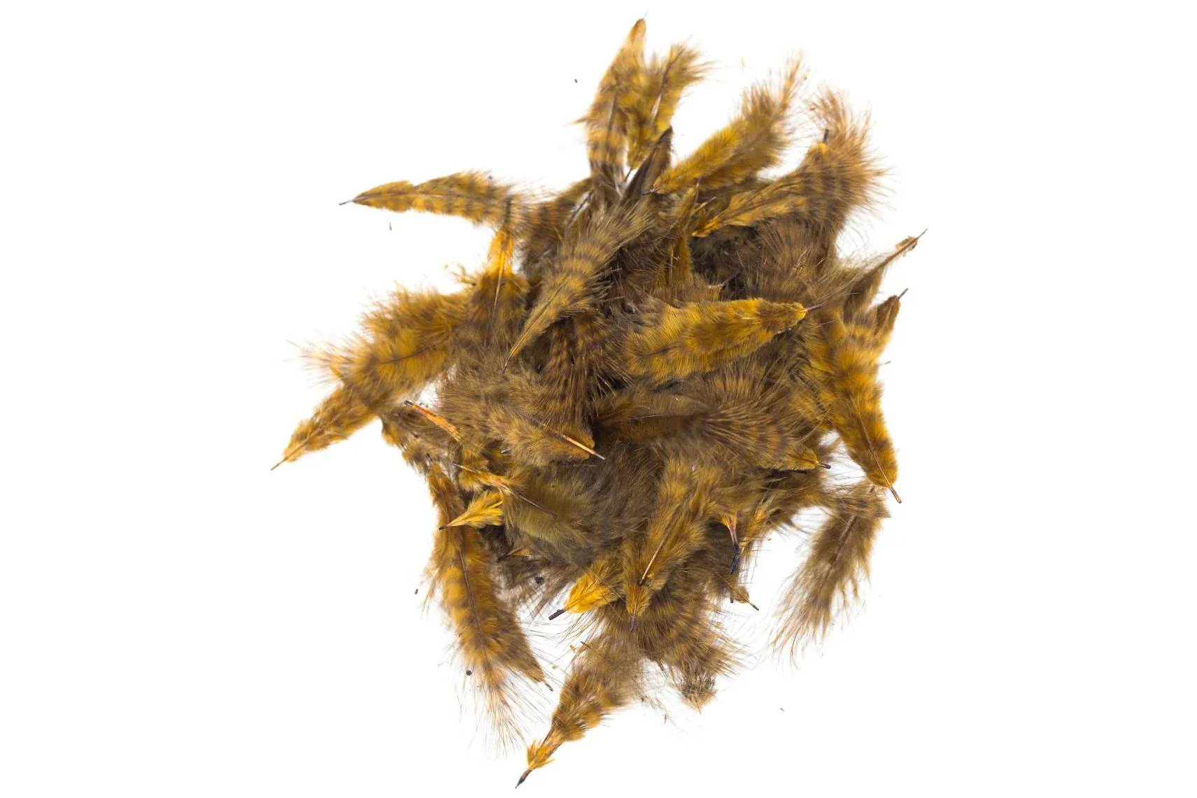 Hareline Grizzly Marabou Feathers