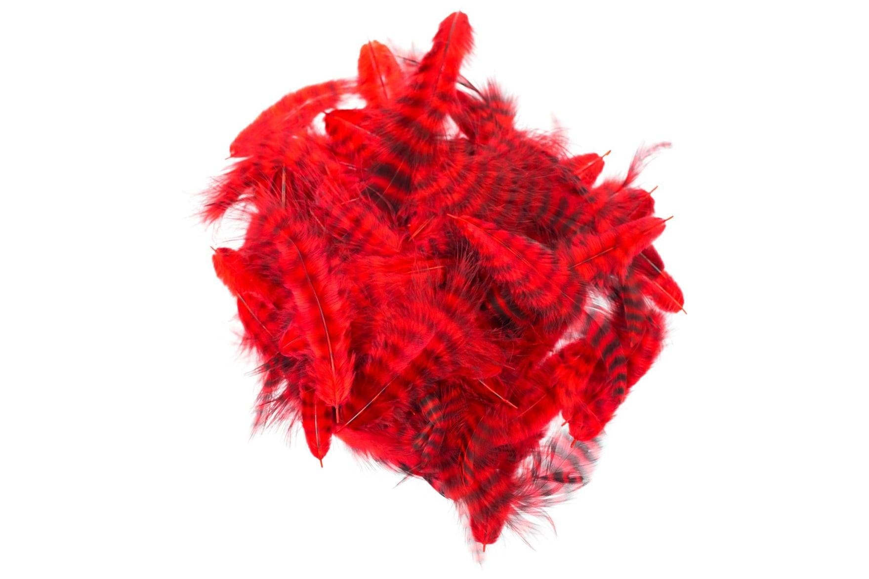 Hareline Grizzly Soft Hackle Feathers For Fly Tying – 10 Color Options, Barred Patterns For Nymphs & Wet Flies