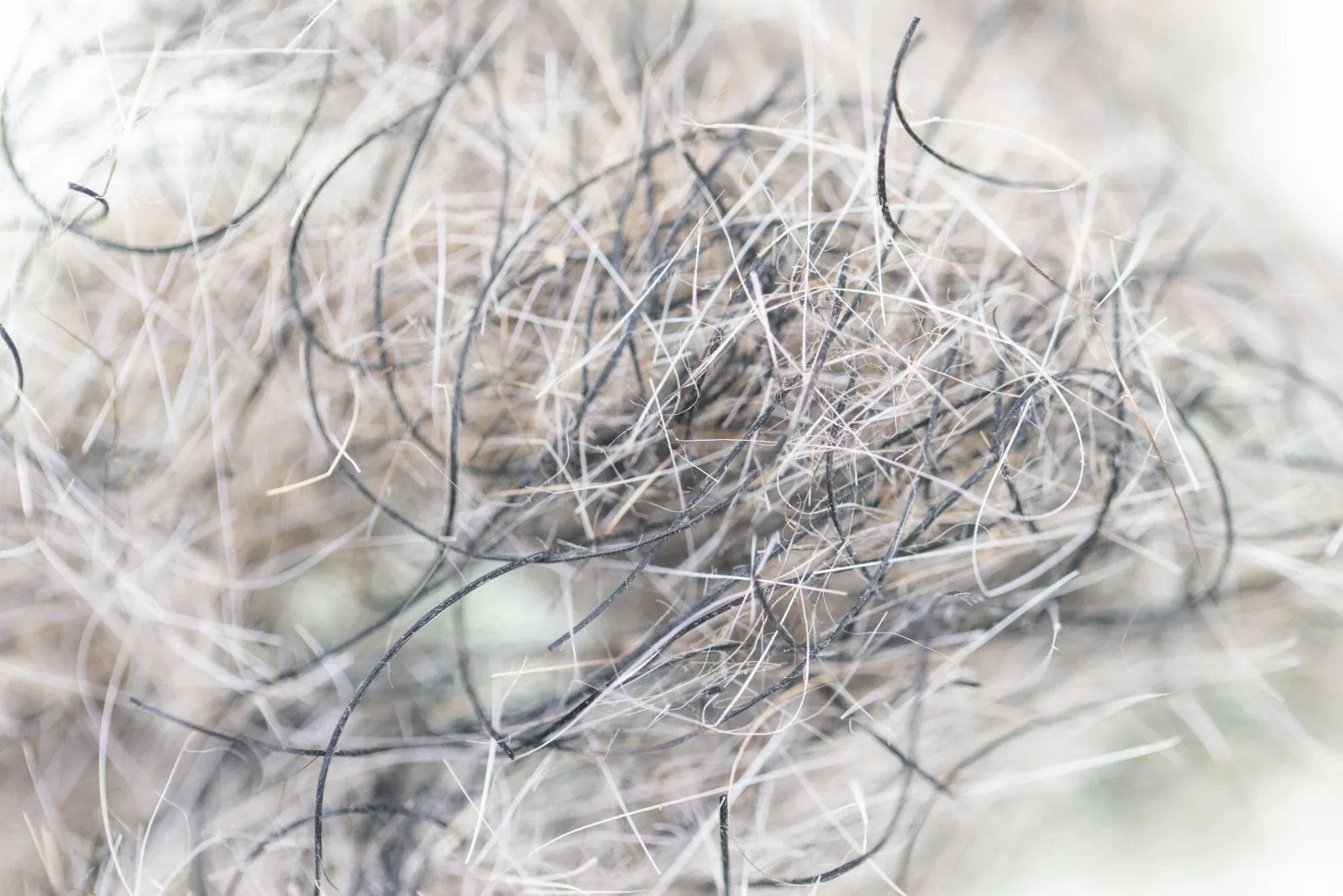 Hareline Hare'E Wiggle Dub dubbing, tangled soft hare fur mix of pale gray and dark curly fibers for fly tying