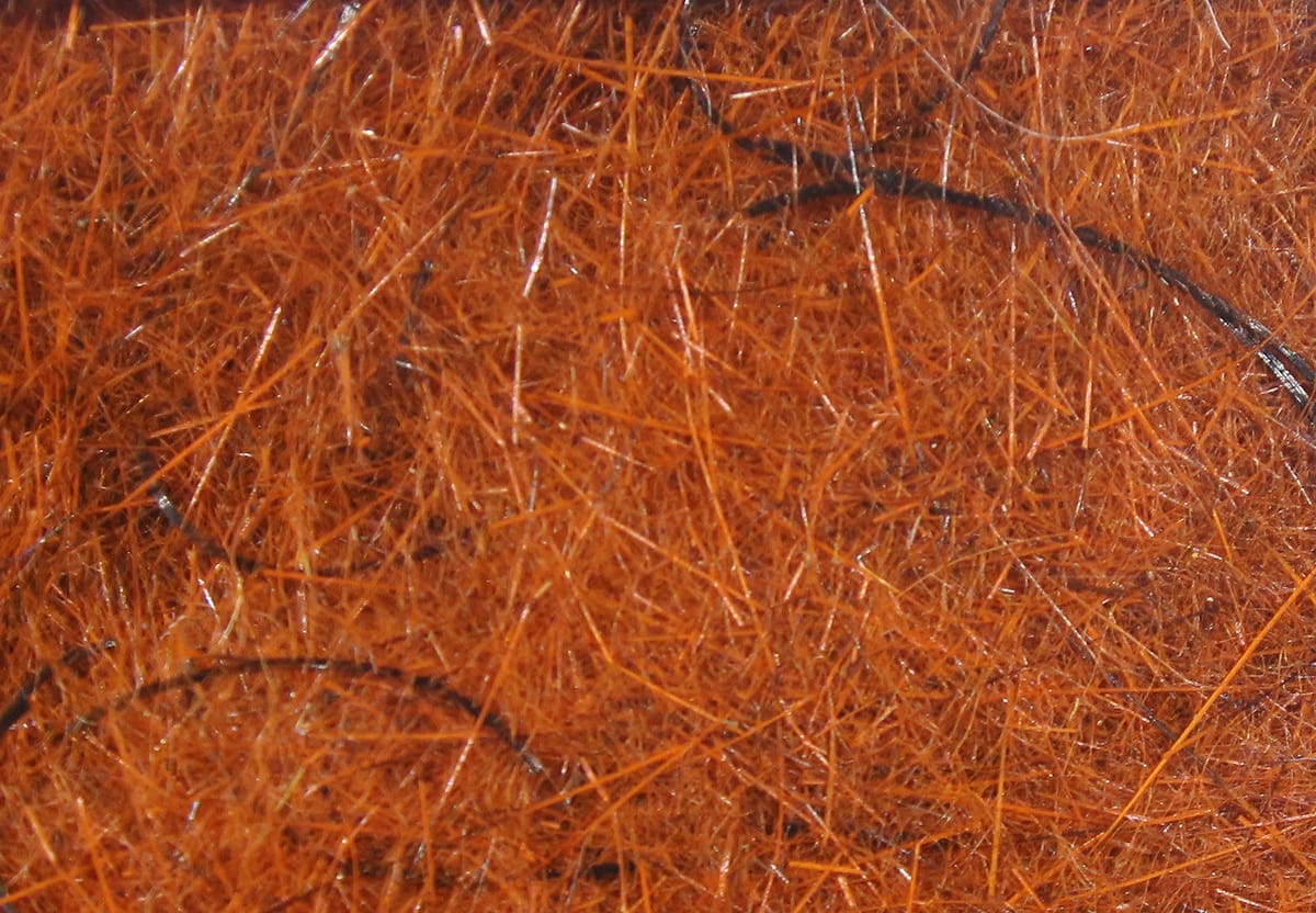 Bright orange Hareline Wiggle Dub dubbing fibers with thin black guard hairs and subtle iridescent strands for fly tying
