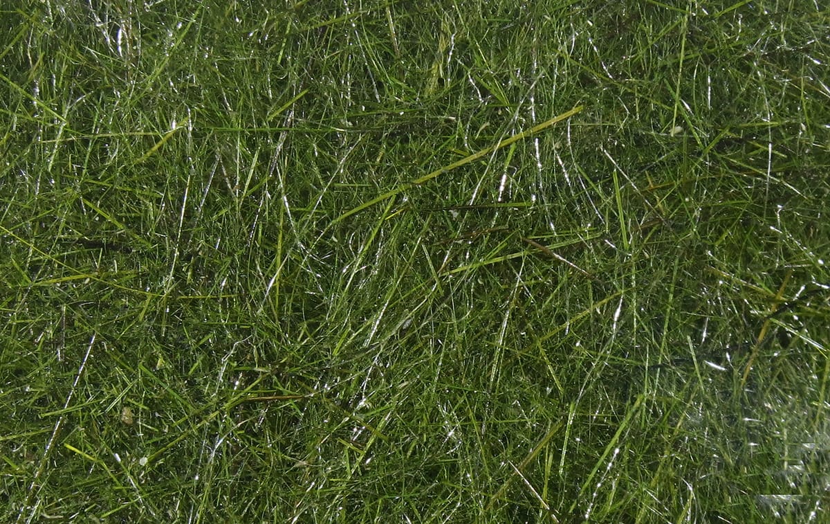 Olive green Hare's Ear dubbing mix, fine rabbit fur fibers with subtle silver flash and hairy texture for fly tying