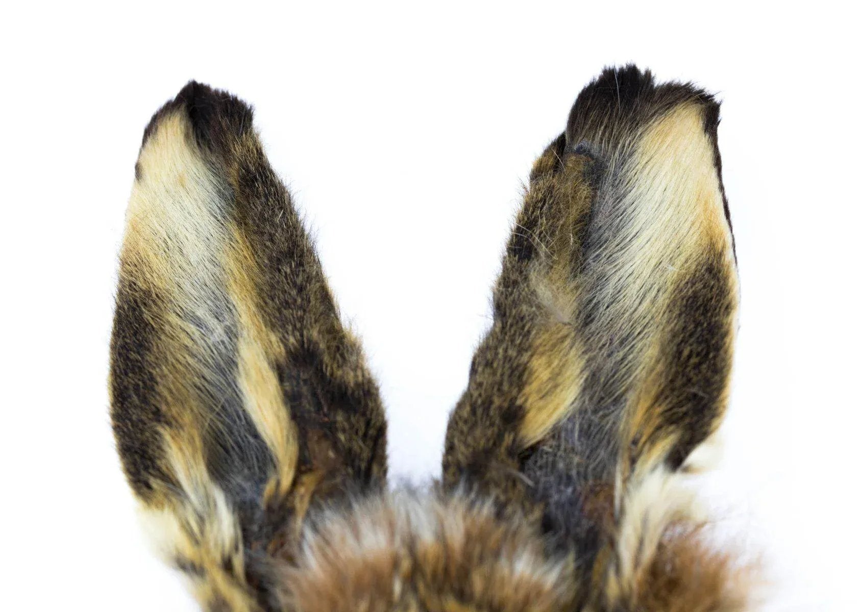 Hareline Hare's Masks