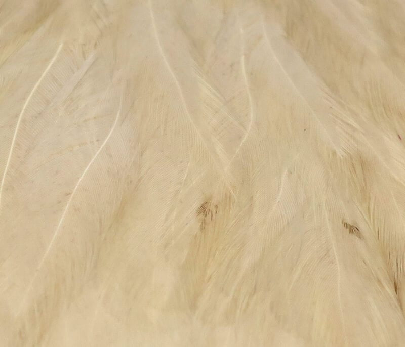 Cream Hareline hen cape with soft long glossy feathers and subtle brown specks, ideal for fly tying