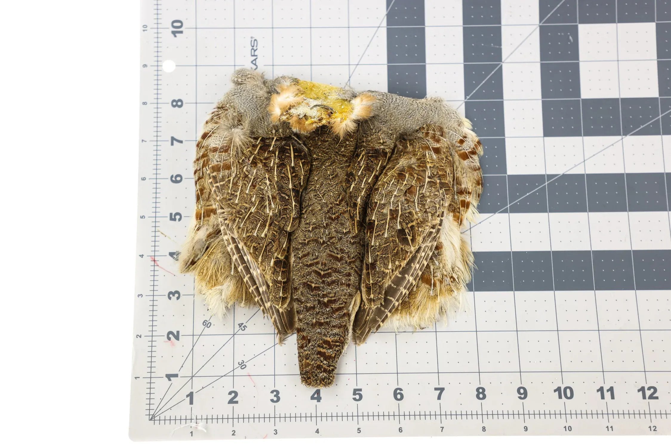 Hareline Hungarian Partridge Skin