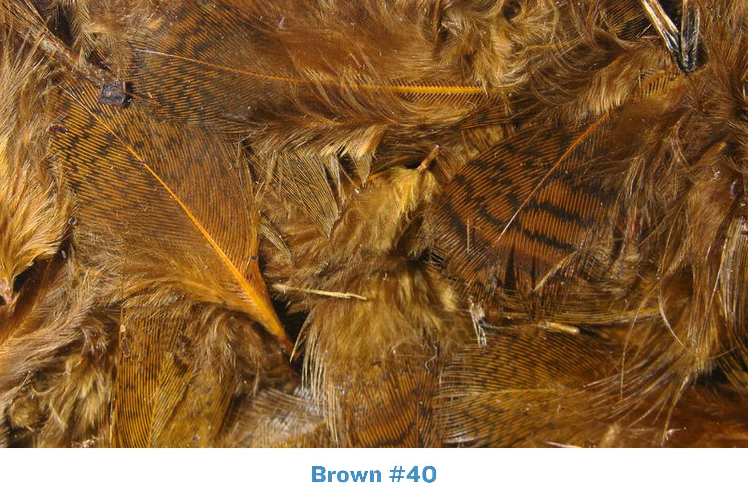 Hareline Hungarian Partridge Skin