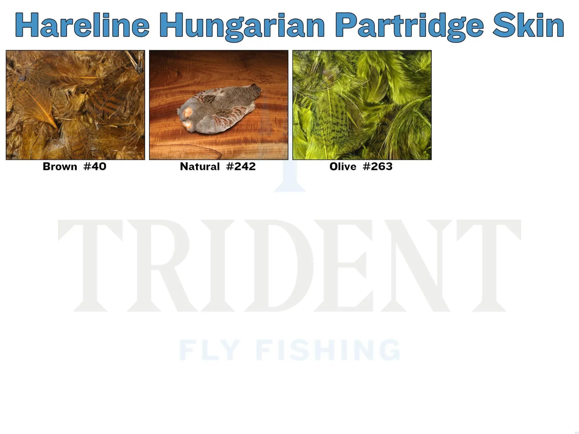 Hareline Hungarian Partridge Skin