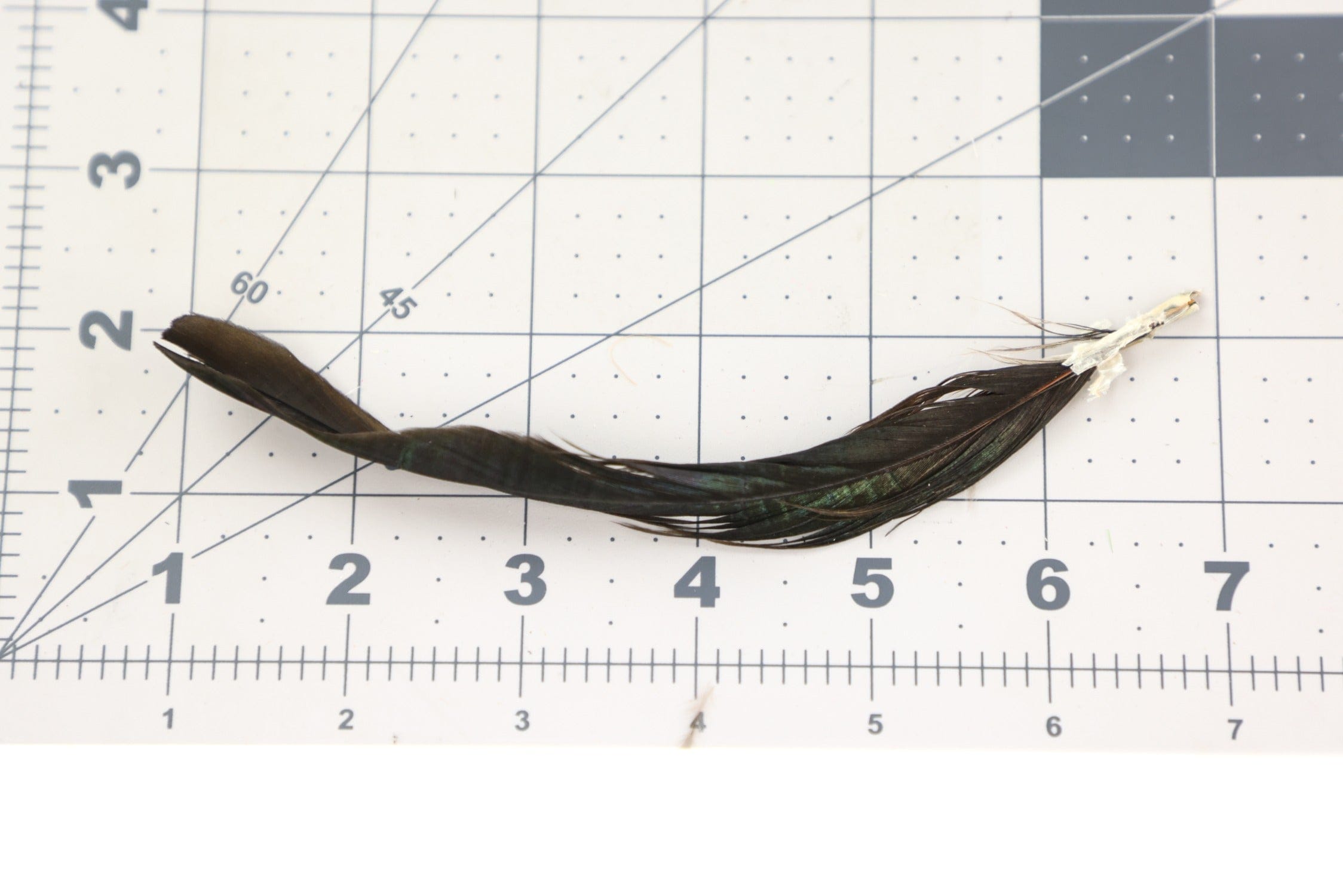Hareline Iridescent Black Schlappen Feathers