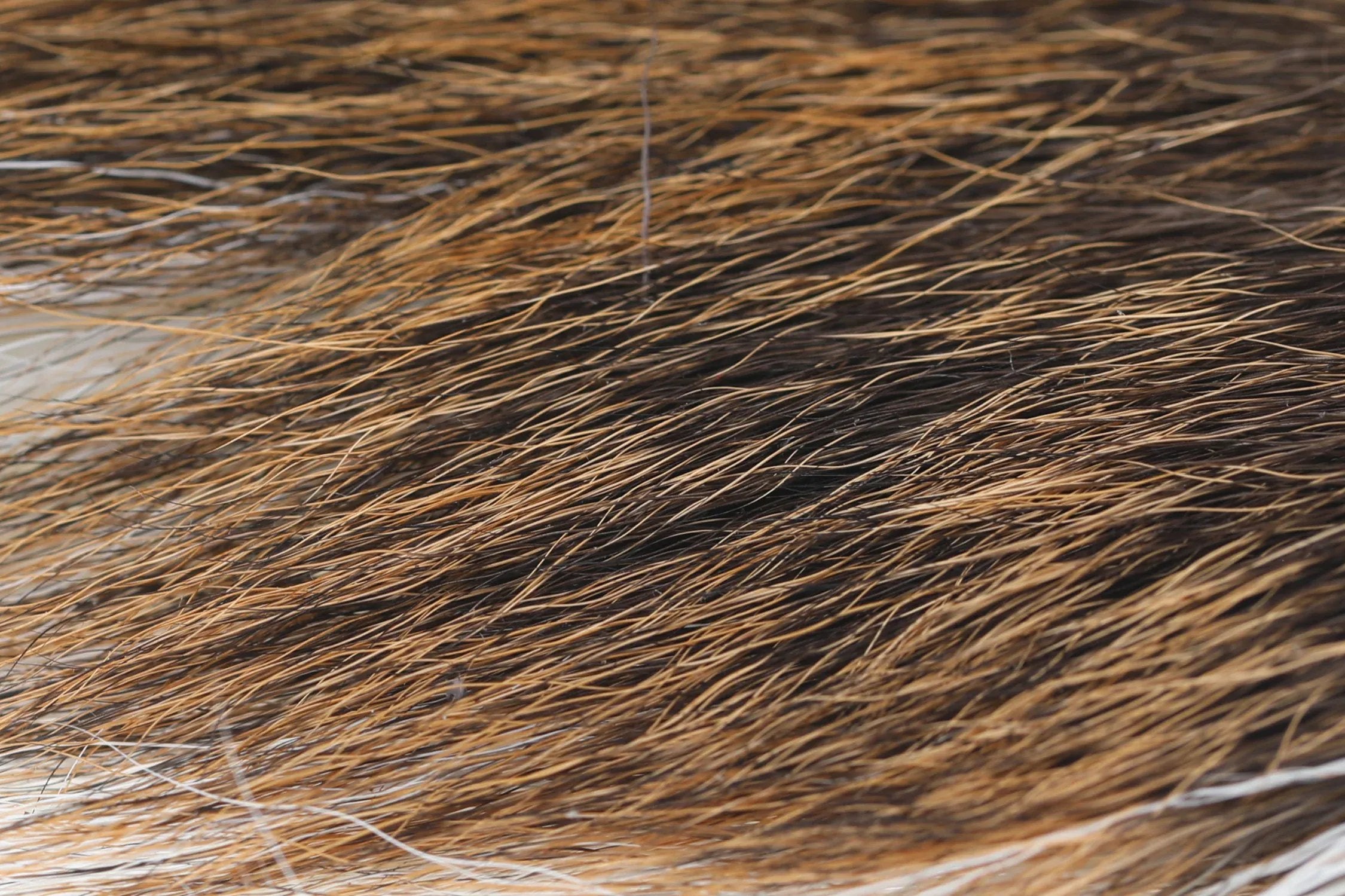Hareline Large Northern Bucktail