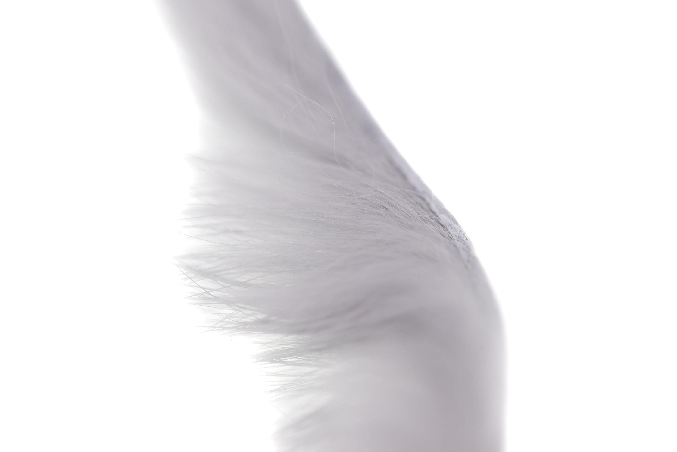 Hareline Magnum Rabbit Fur Strips