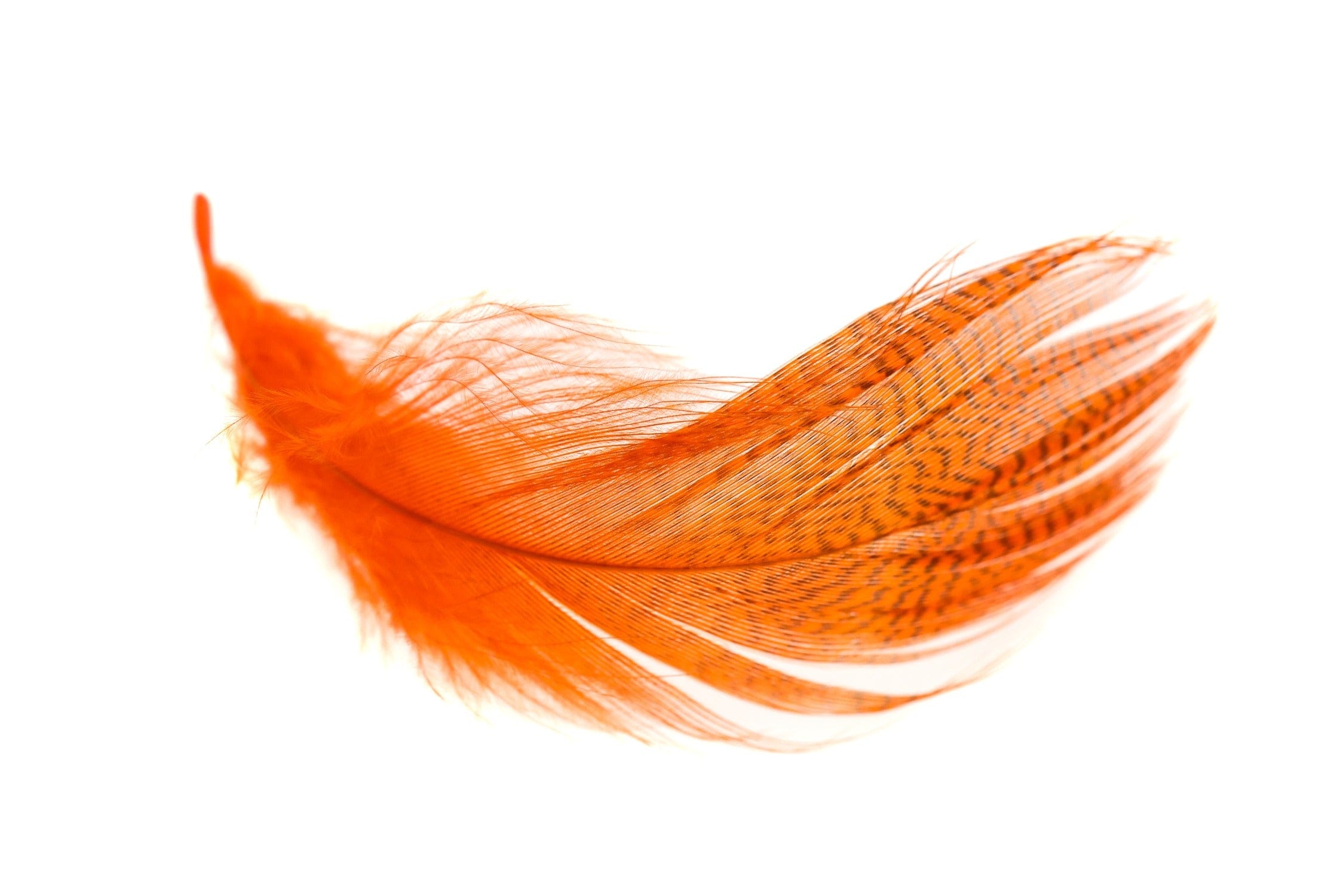 Hareline Mallard Flank Feathers