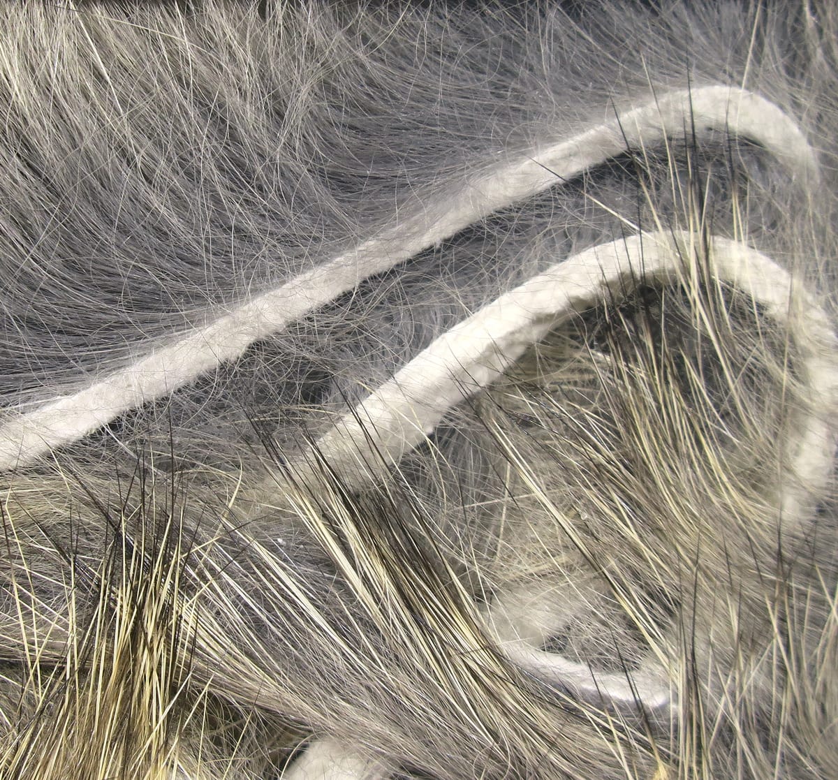 Micro rabbit fur strips in silvery gray with tan guard hairs and white felt backing for fly tying