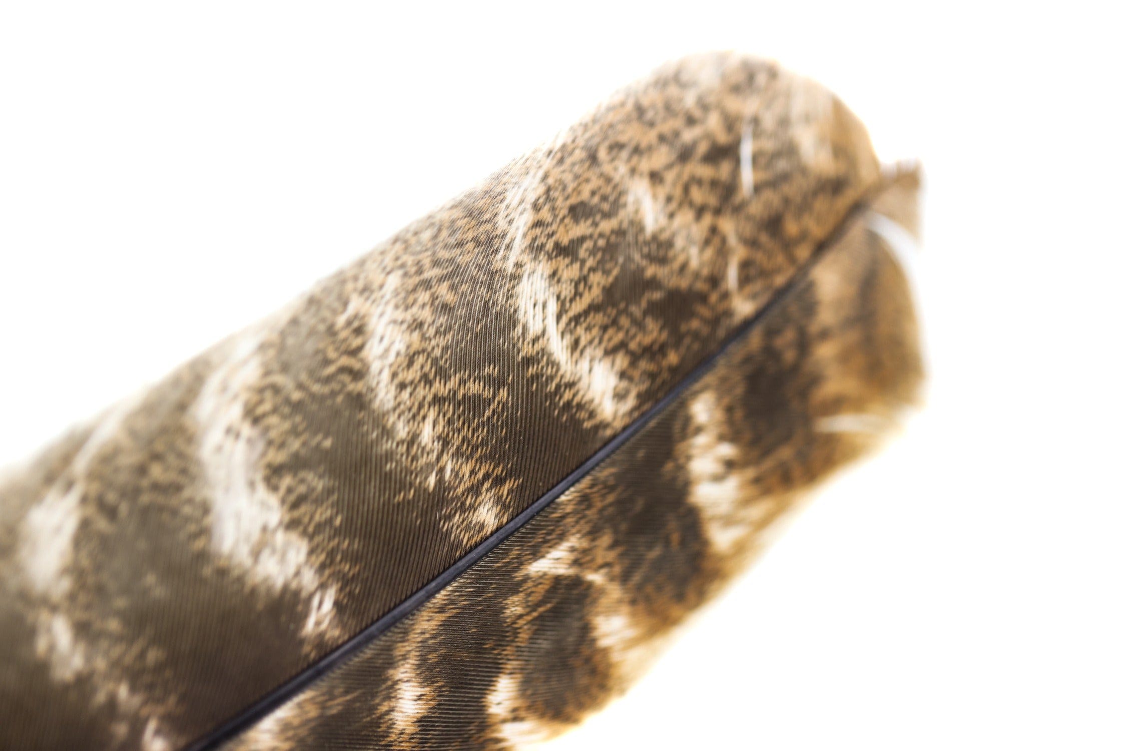 Hareline Natural Ozark Oak Mottled Turkey Quills