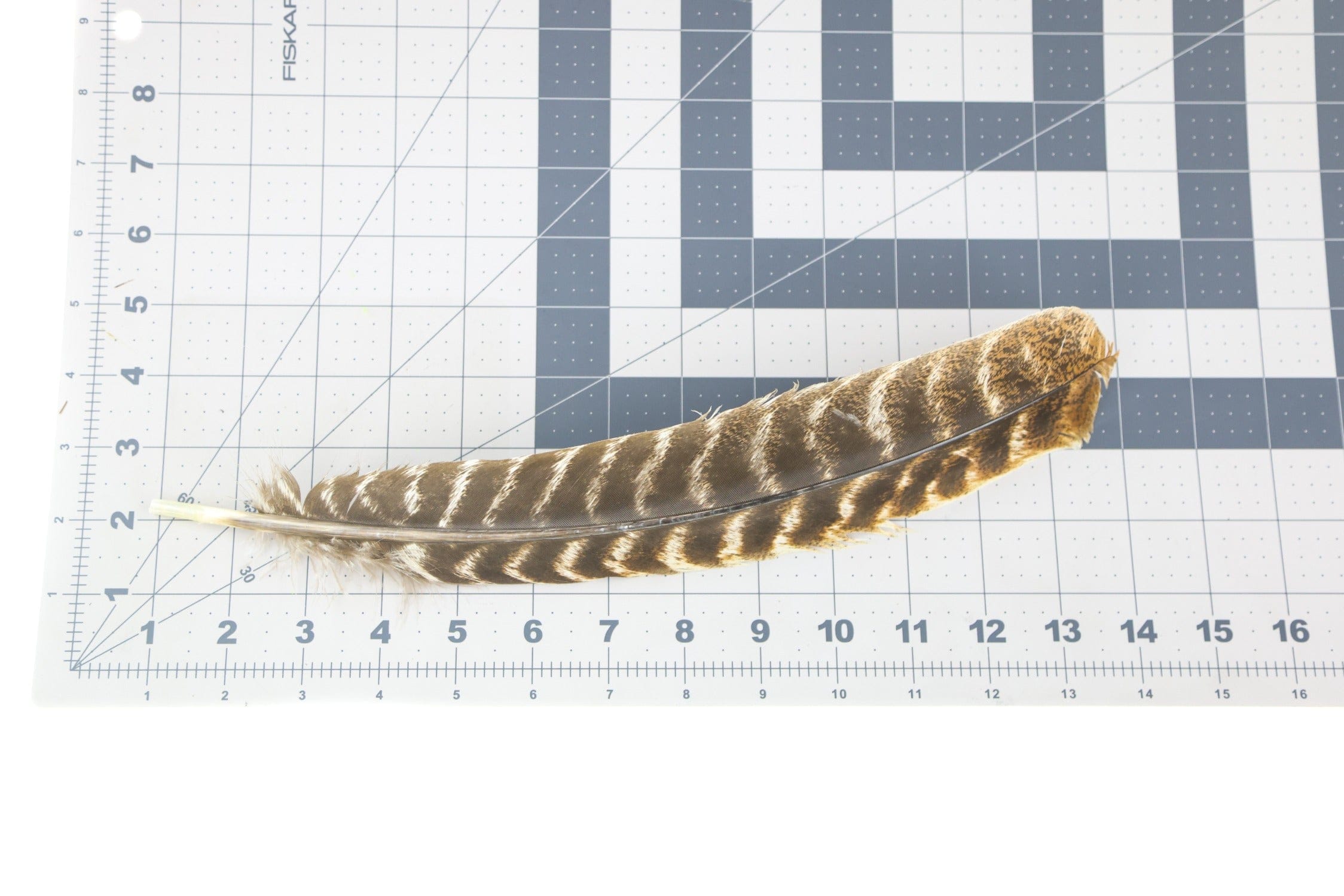 Hareline Natural Ozark Oak Mottled Turkey Quills