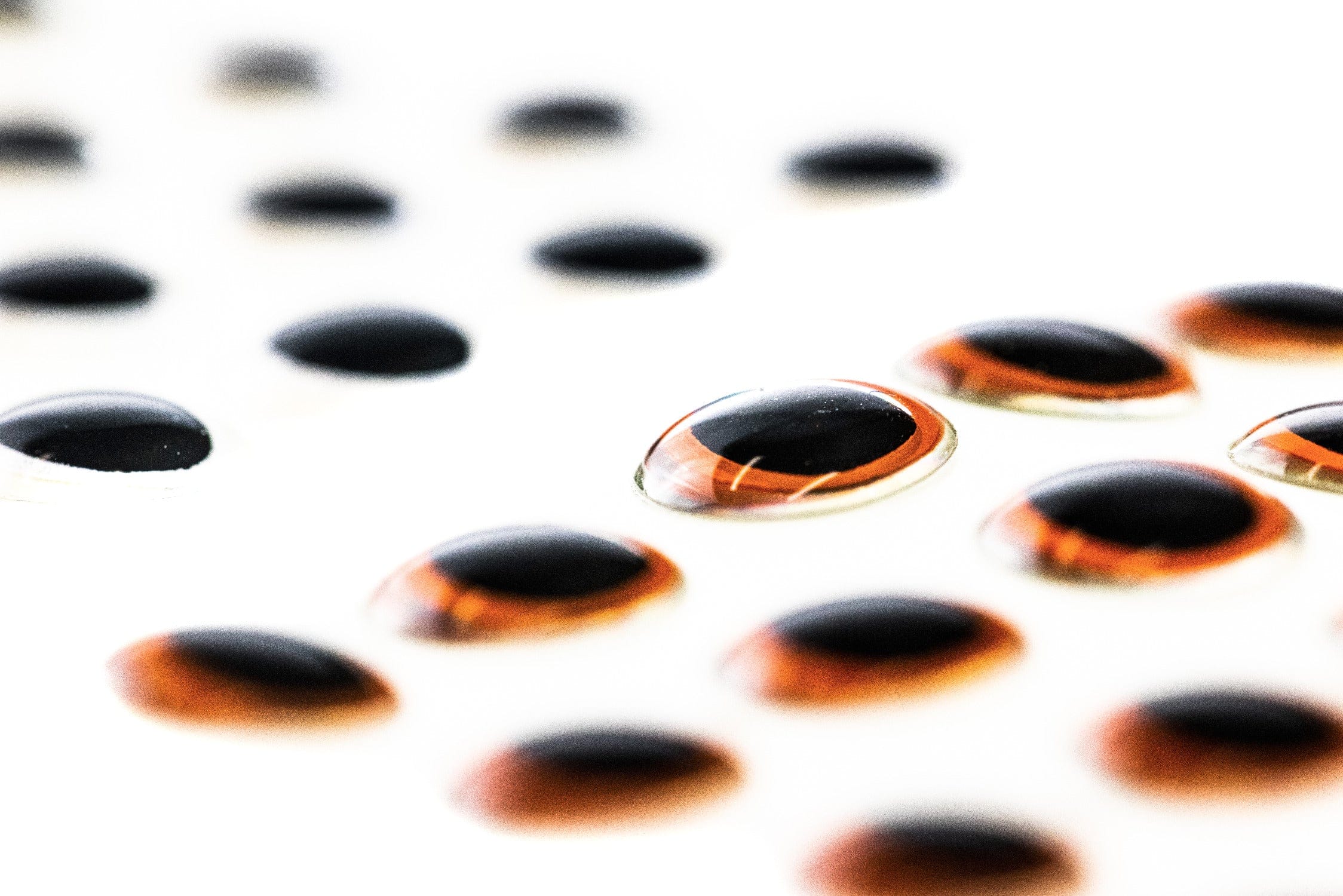 Hareline Oval Pupil 3D Adhesive Eyes