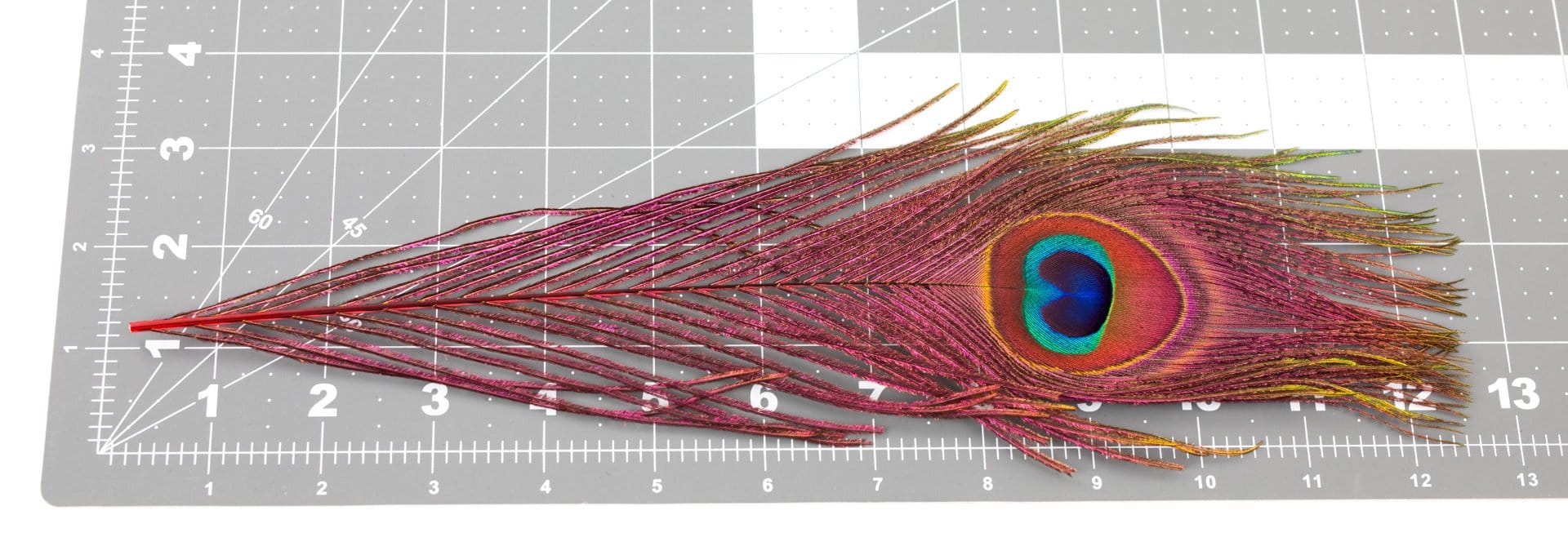 Hareline Peacock Eyed Sticks