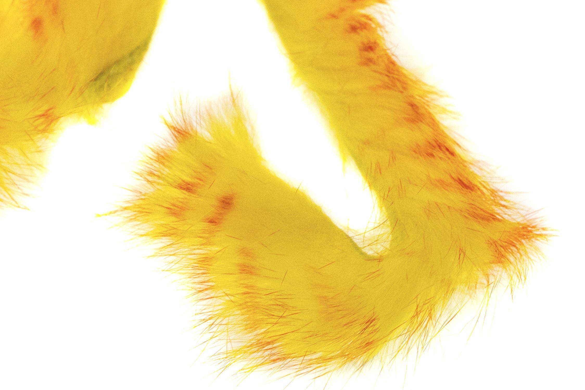 Hareline Red-Barred Magnum Rabbit Strips