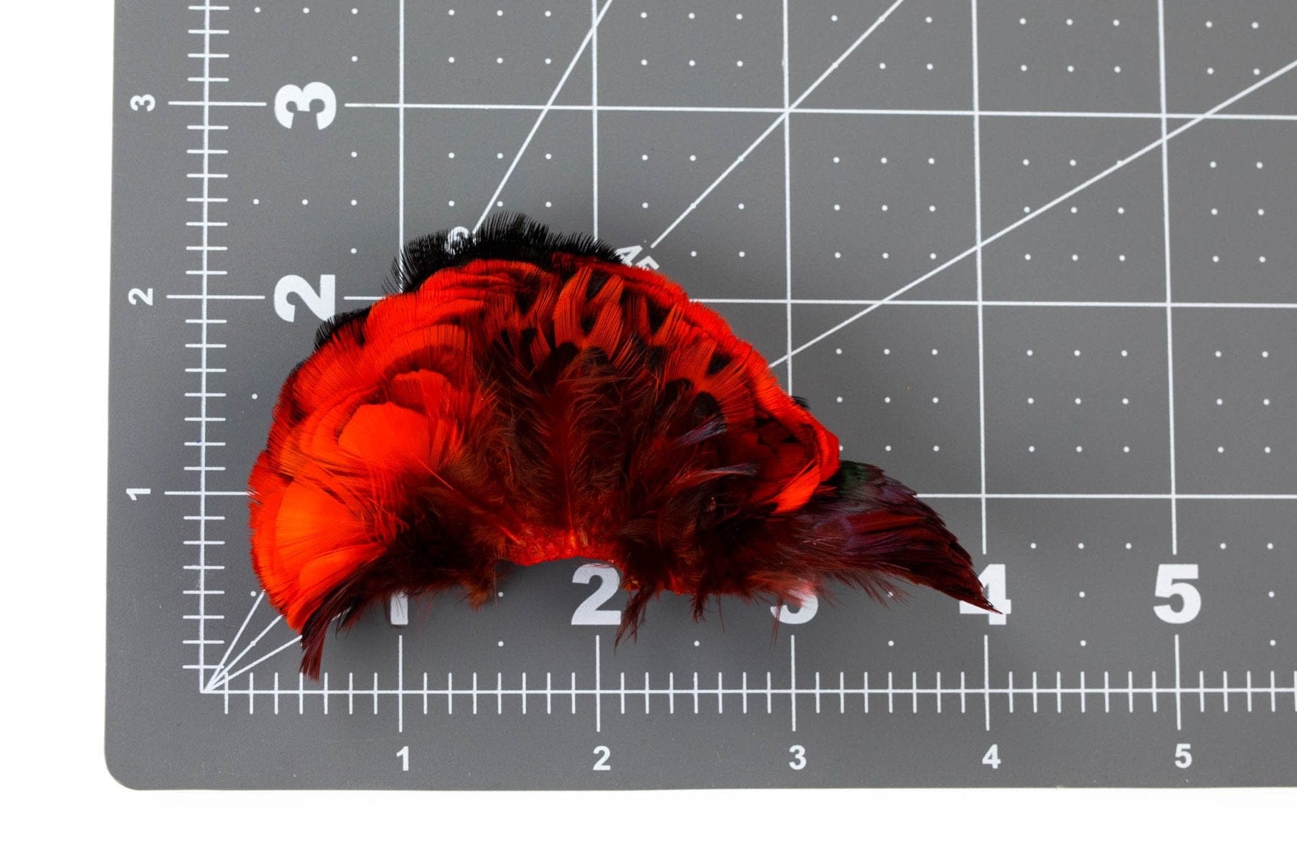 Hareline Ringneck Pheasant Neck Patch
