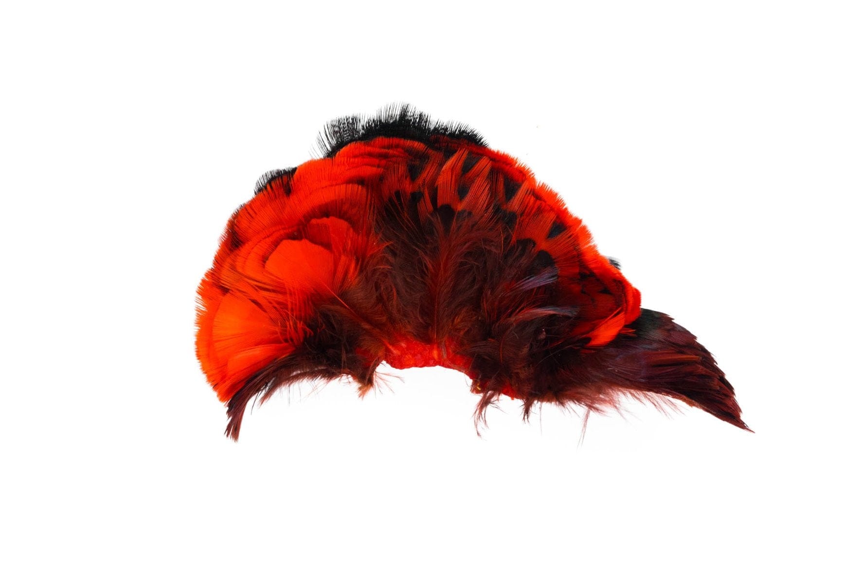 Hareline Ringneck Pheasant Neck Patch