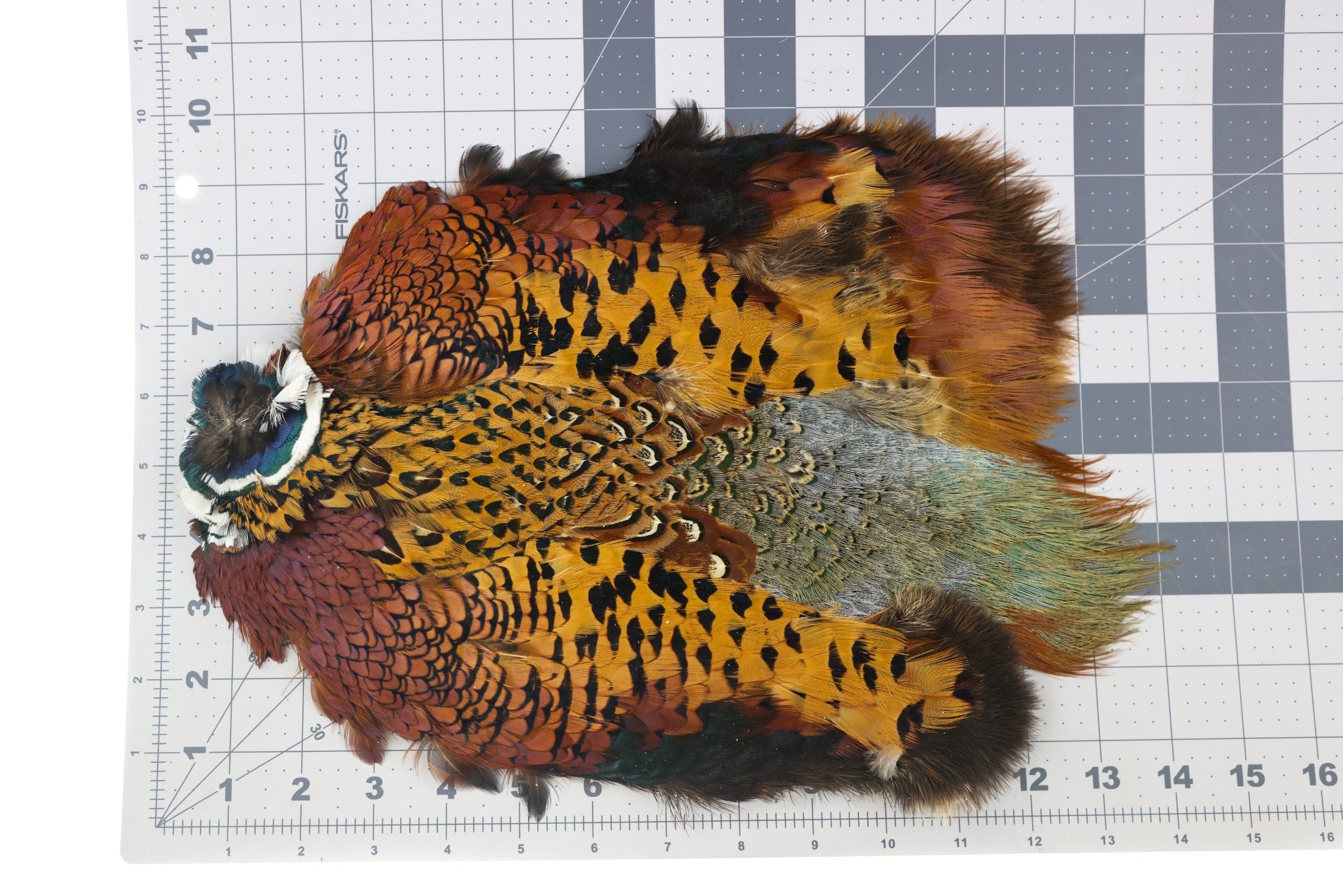 Hareline Ringneck Pheasant Skin