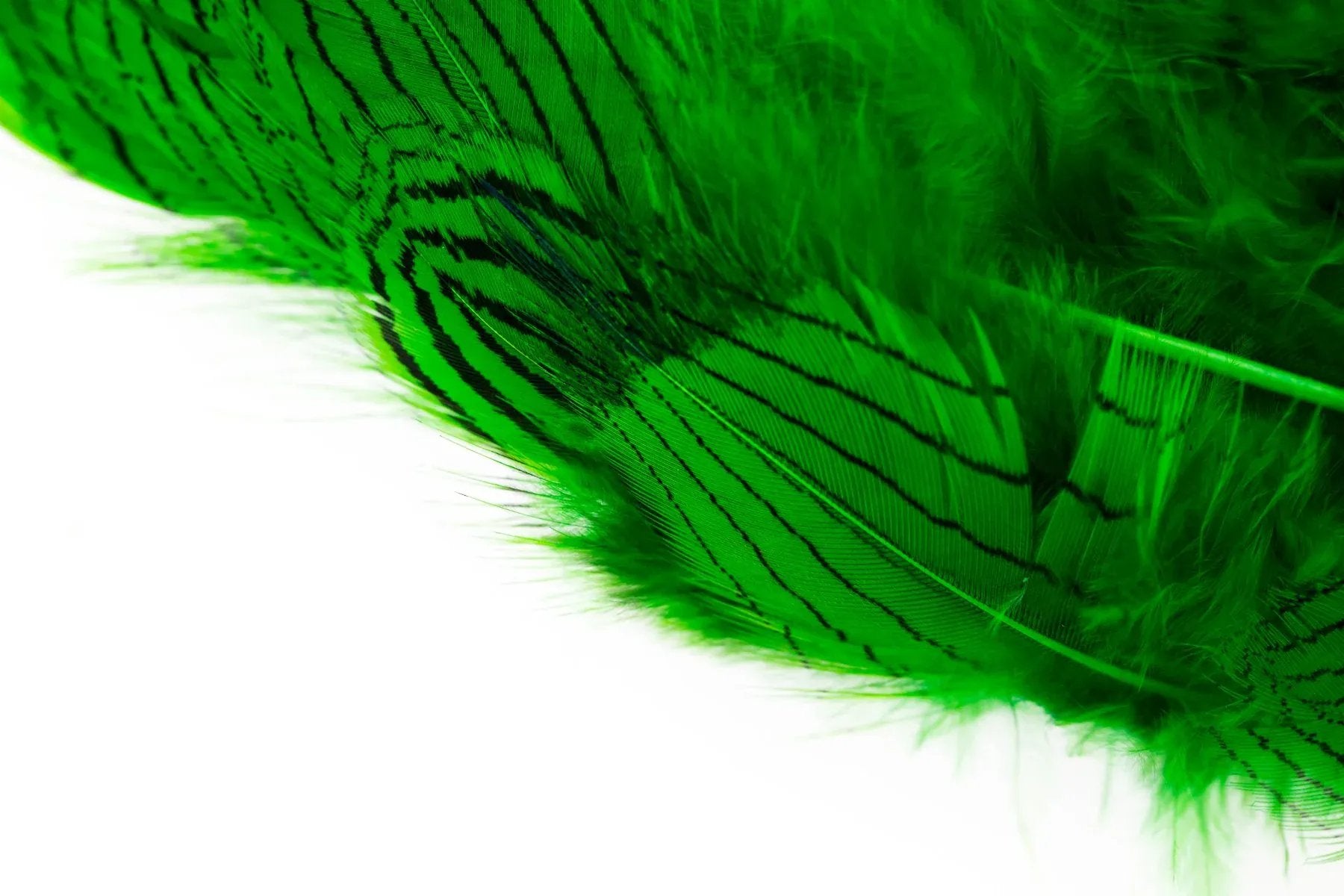 Hareline Silver Pheasant Body Feathers