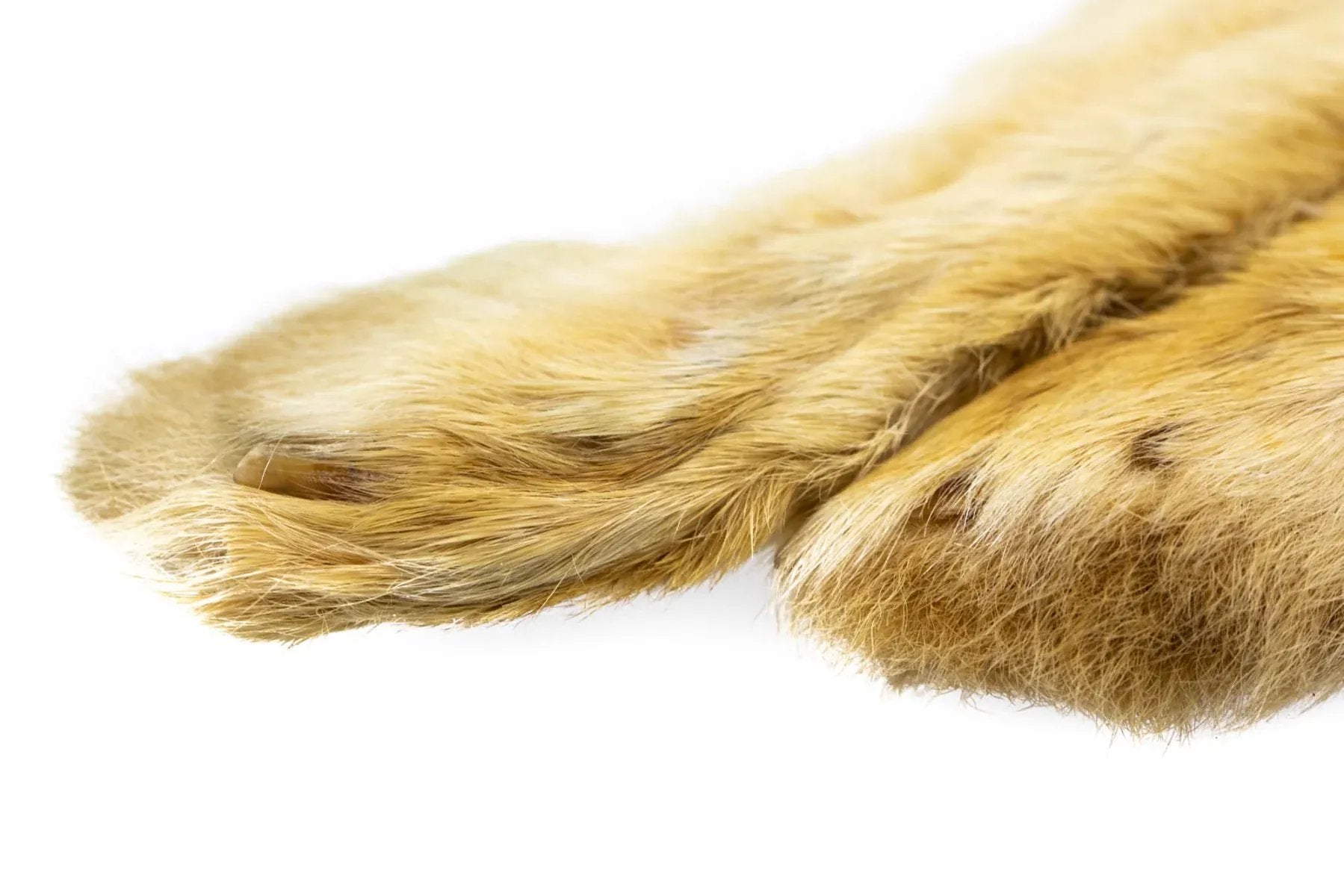 Hareline Snowshoe Rabbit Feet