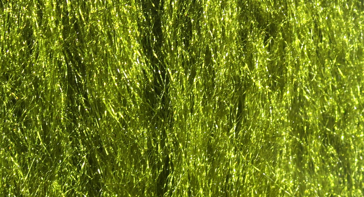Chartreuse sparkle emerger yarn with fine metallic synthetic fibers, glossy shimmering texture for fly tying