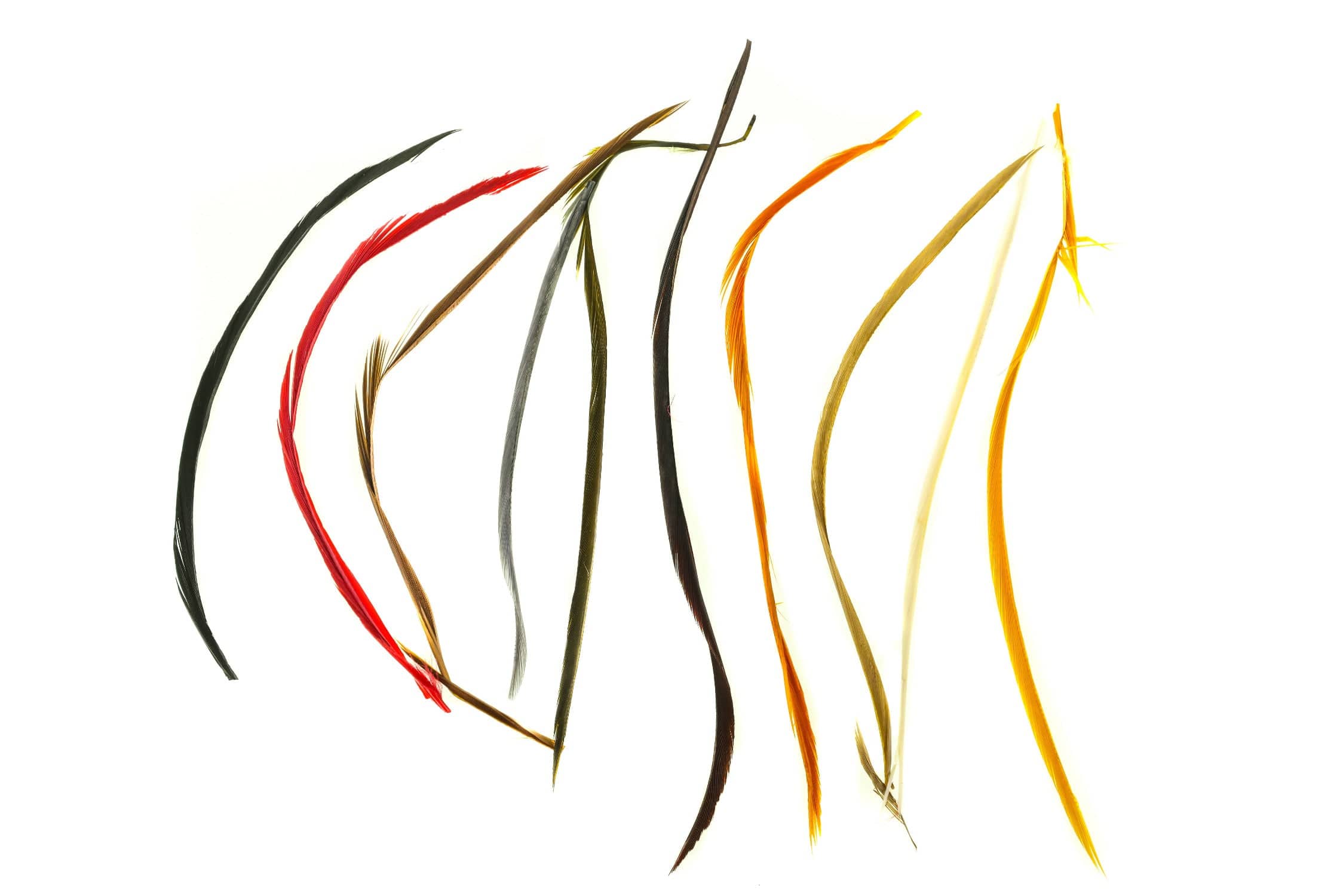 Hareline Stripped Goose Biots Combo Pack