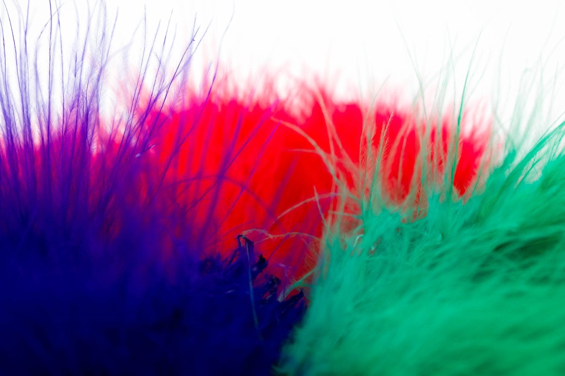 Hareline Strung Marabou Blood Quills