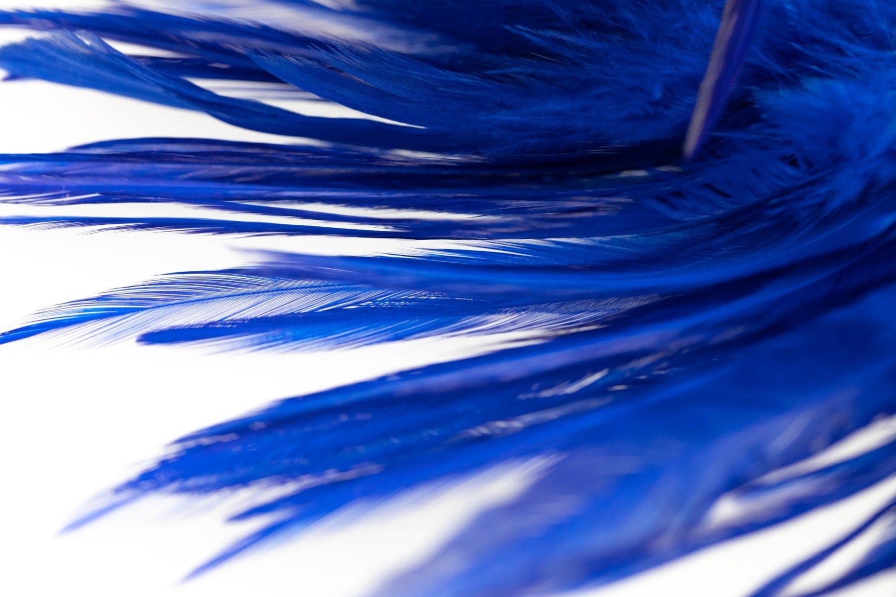 Hareline Strung Saddle Hackle