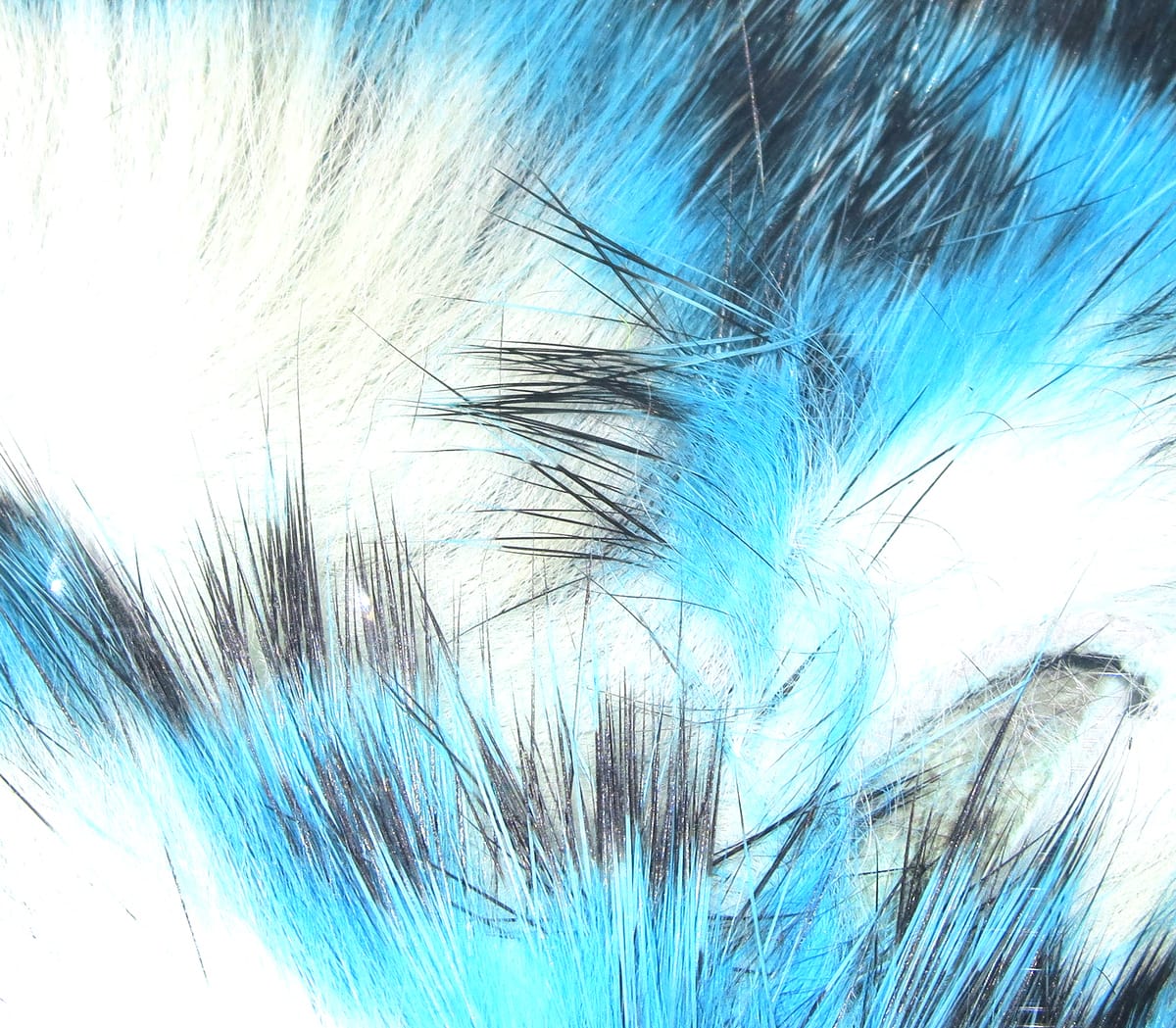 Hareline tiger barred rabbit fur strips, bright turquoise-blue with black barring, fluffy long-fiber rabbit fur for fly tying