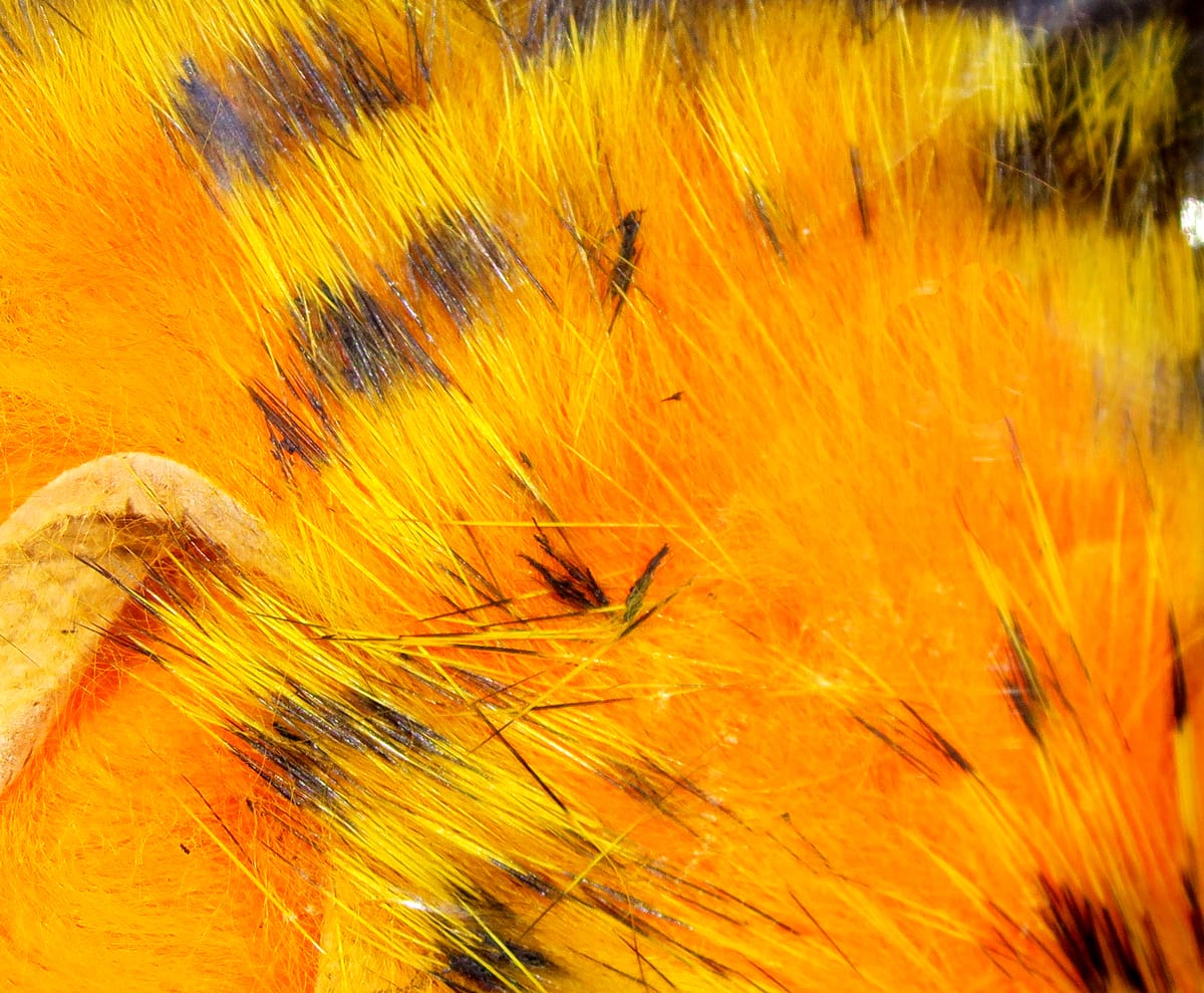Bright orange Hareline tiger-barred rabbit fur strips with black barred guard hairs, fluffy fly tying material