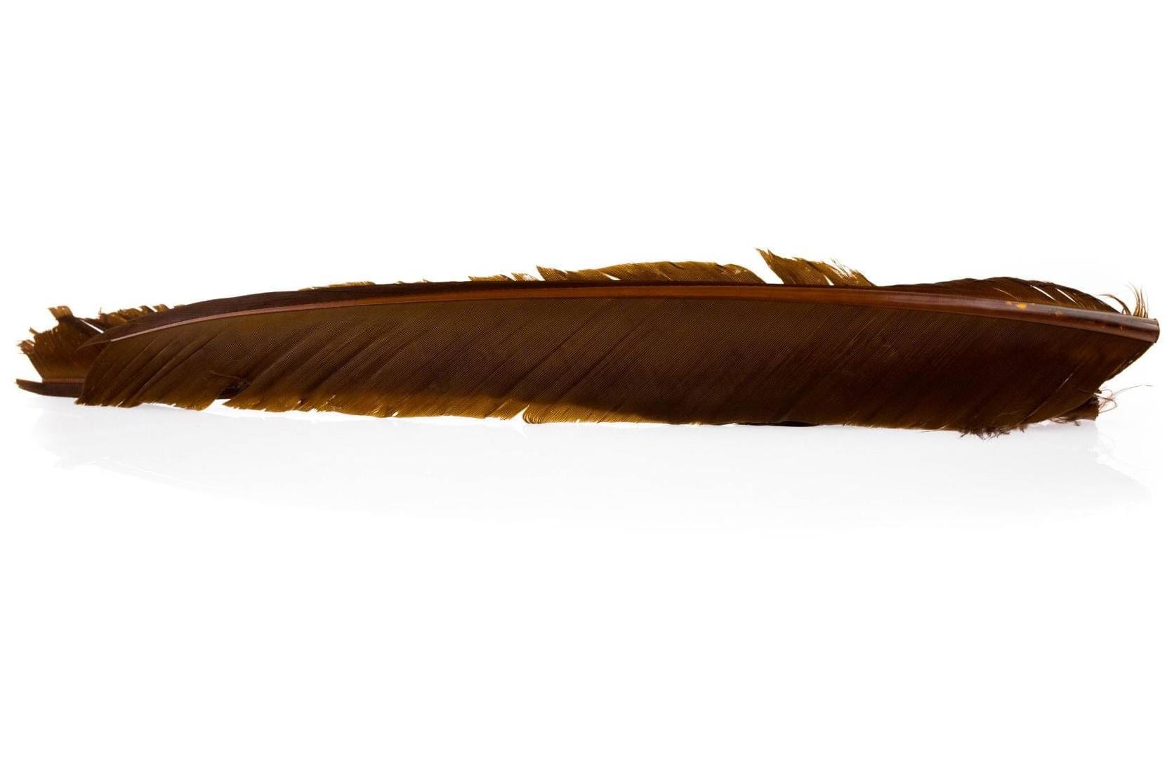Hareline Turkey Biot Quills