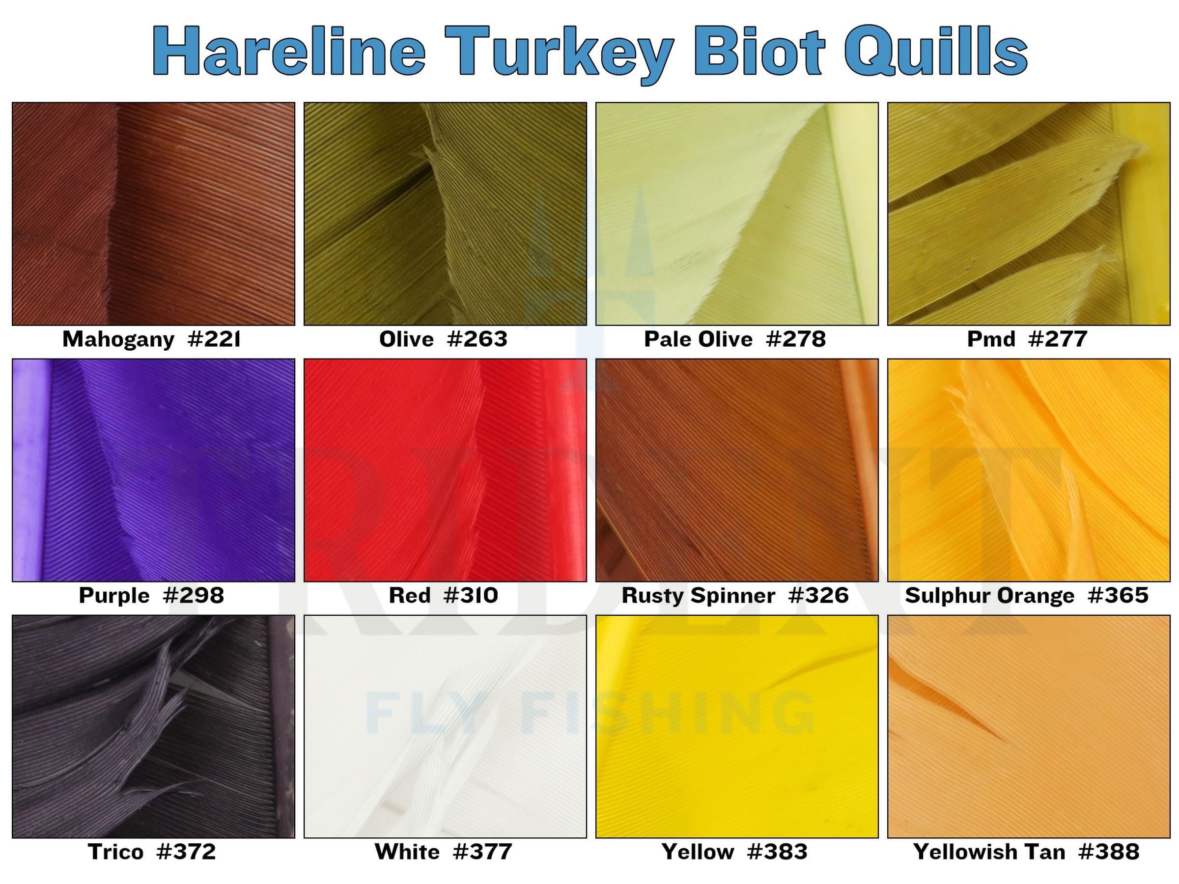 Colored turkey biot quills sample grid showing close-up ribbed feather quills in multiple fly tying colors