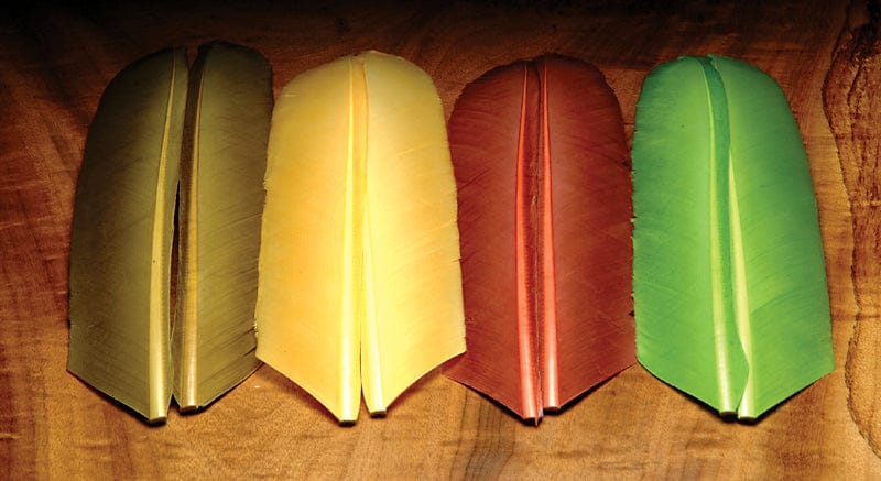 Four turkey biot quills in olive, yellow, rust and chartreuse green on wood board for fly tying