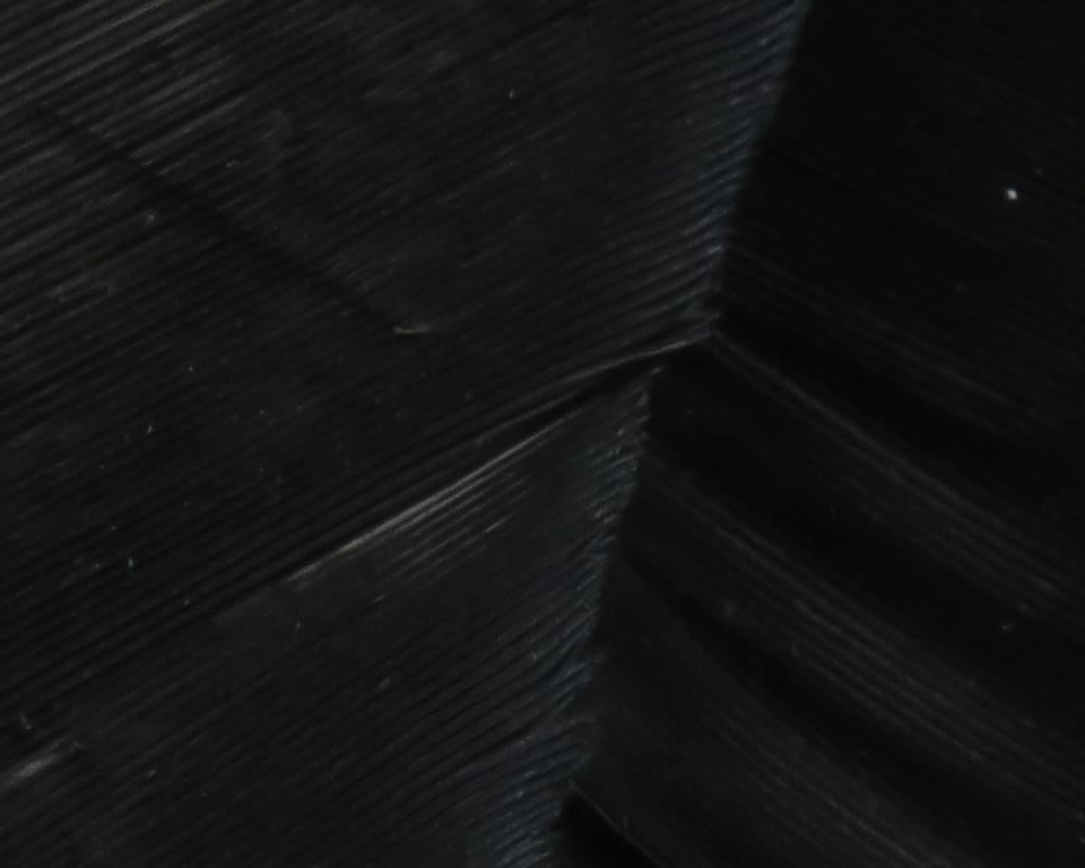 Hareline black turkey biot quills close-up showing glossy ribbed feather material and narrow curved quill for fly tying