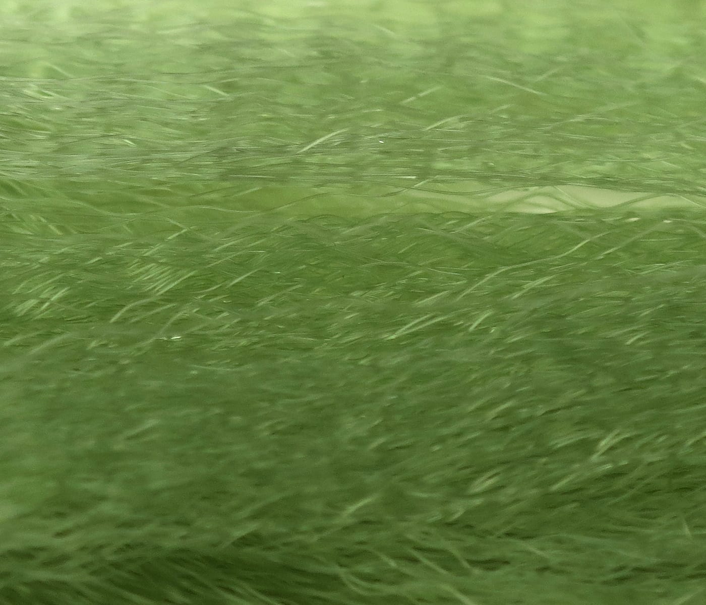 Olive-green Hedron Supreme Super Hair synthetic fibers, fine glossy wispy strands for fly tying