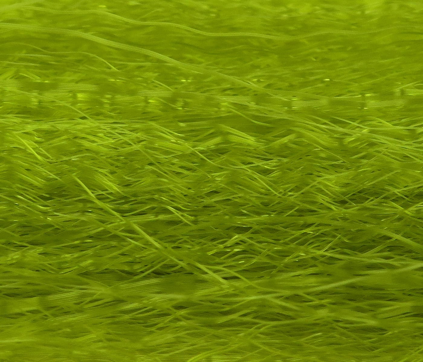 Chartreuse Hedron Unique Hair: fine translucent synthetic fly-tying fibers with wispy, layered strands
