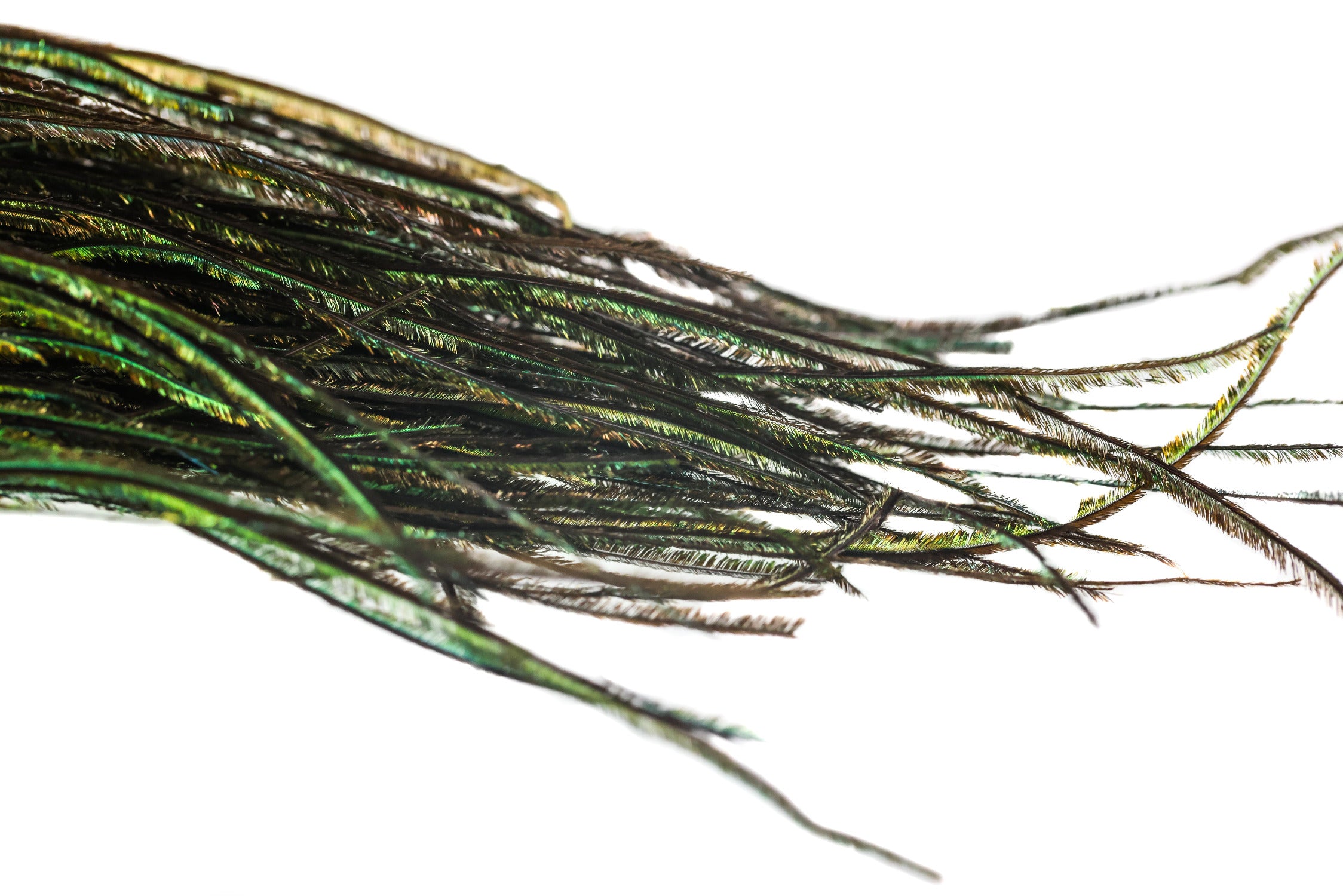 Wapsi Ant/Beetle Fly Tying Kit