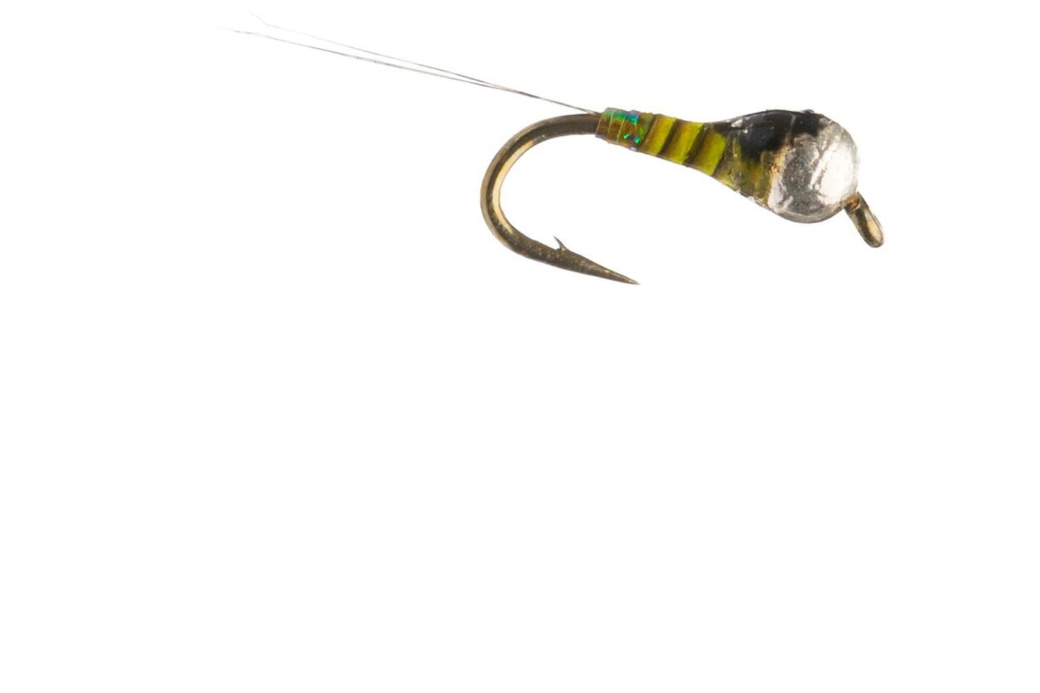 Quilldigon Fly