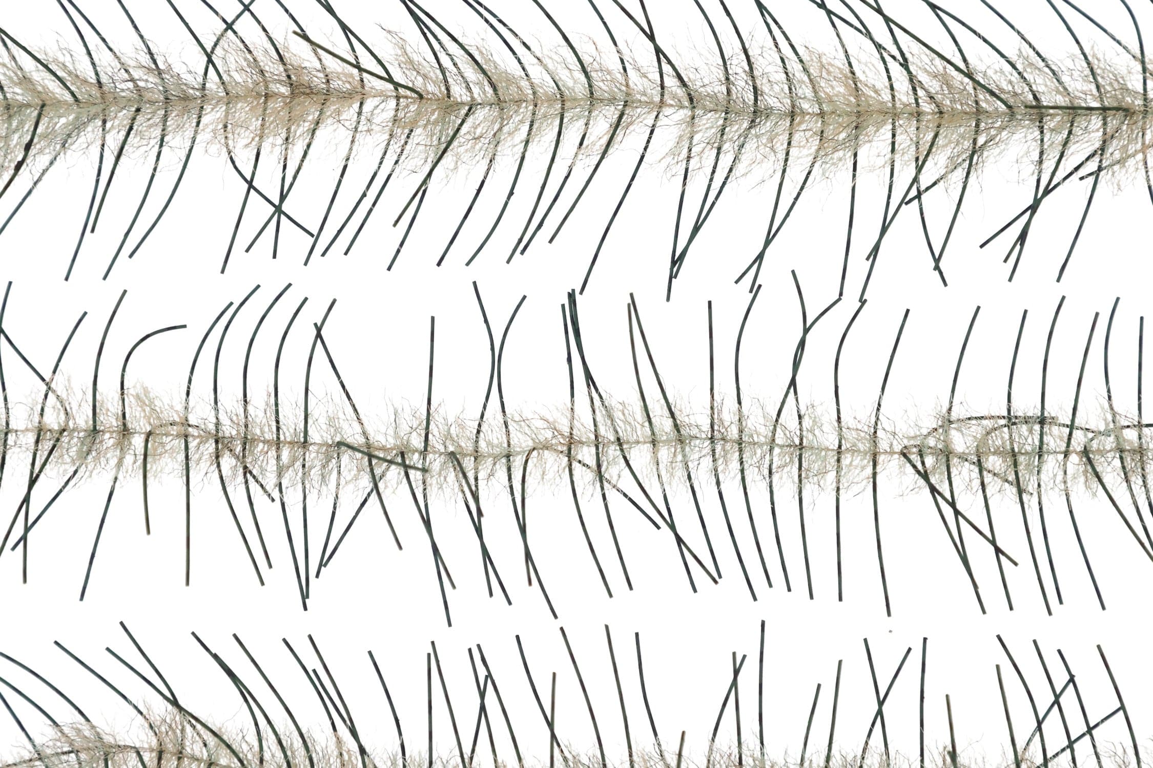 Tan fuzzy synthetic body with olive-green rubber leg strands on a Lively Legs crustacean brush for fly tying