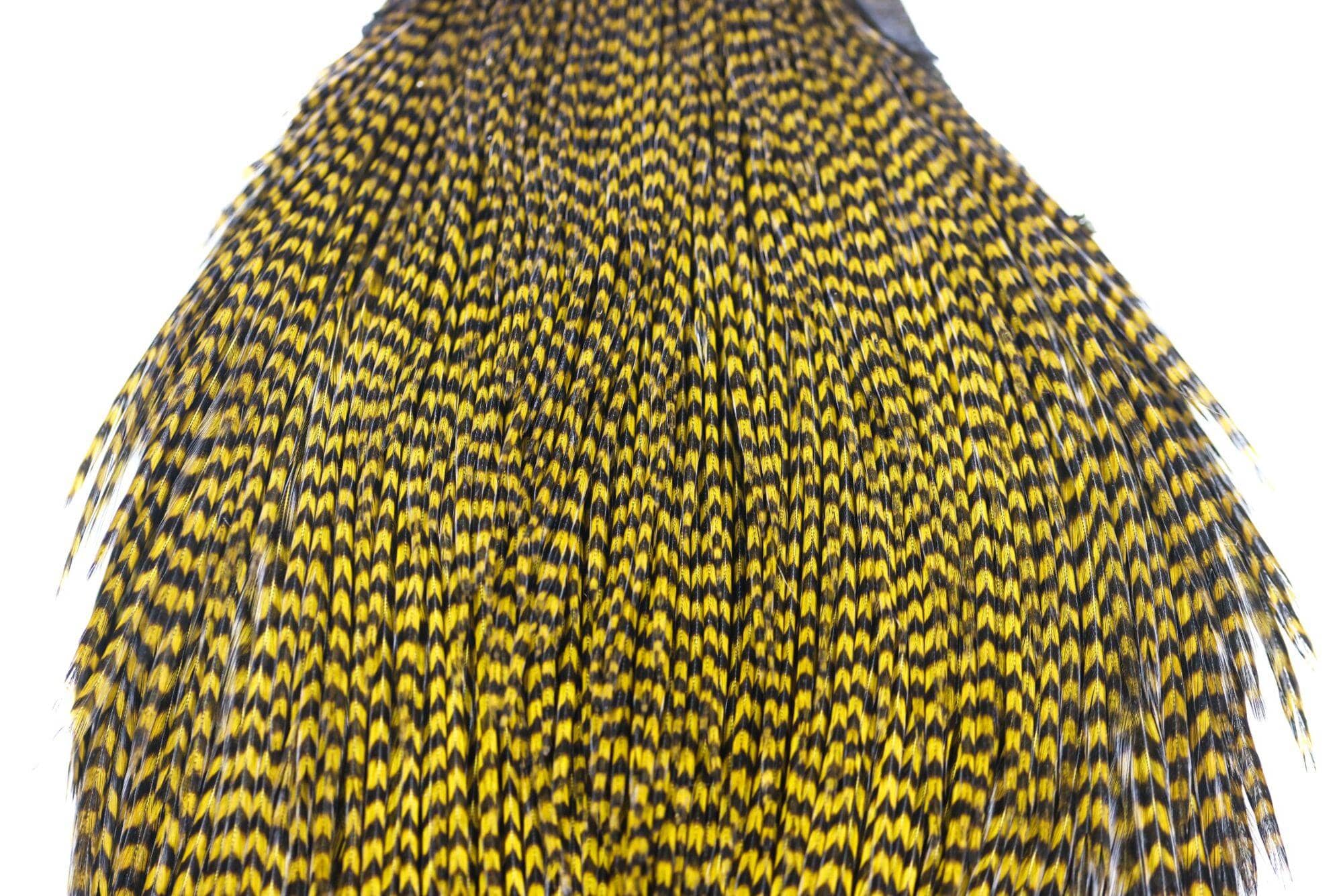 Keough Tyers Grade Cape