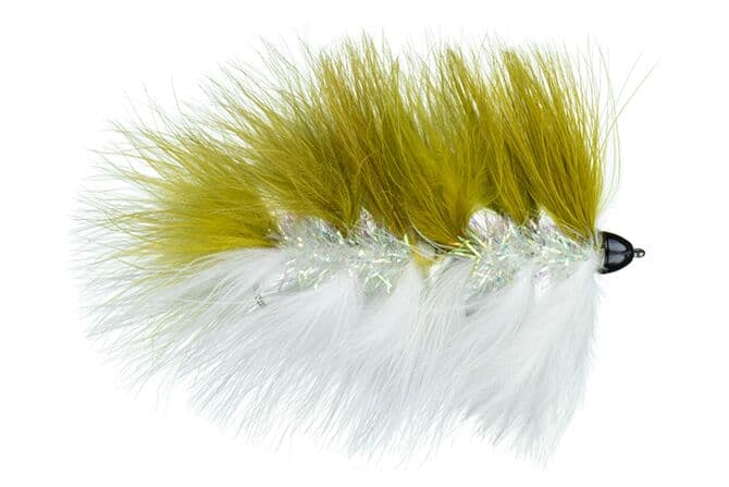 Galloup's Barely Legal Fly (Conehead)