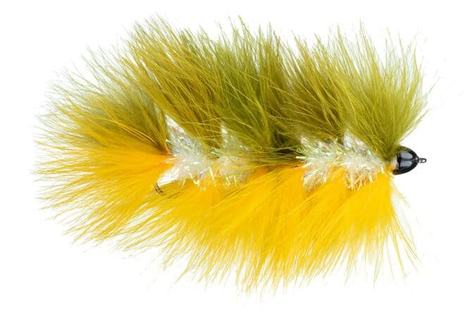 Galloup's Barely Legal Fly (Conehead)