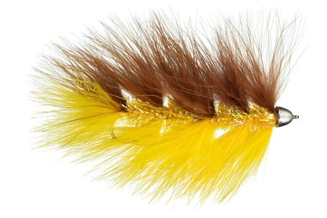 Galloup's Barely Legal Fly (Conehead)