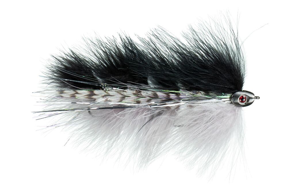 Galloup's Barely Legal Fly (Fish-Skull Head)