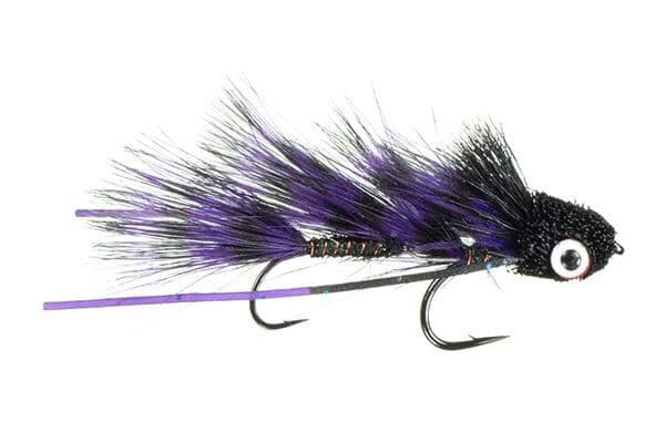 Galloup's Barred Micro Dungeon Fly