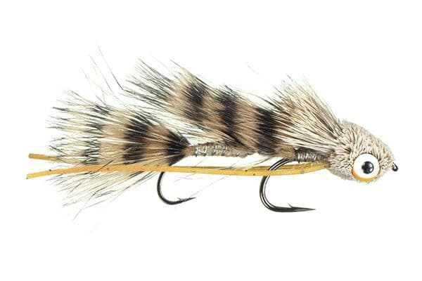 Galloup's Barred Micro Dungeon Fly