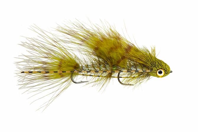 Galloup's Barred Mini Sex Dungeon Fly