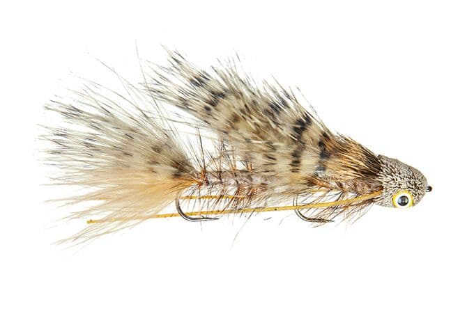 Galloup's Barred Mini Sex Dungeon Fly