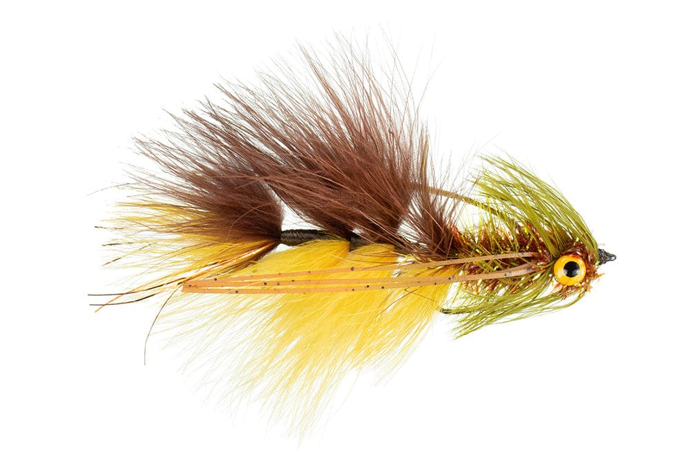 Galloup's Bighole Bug Fly